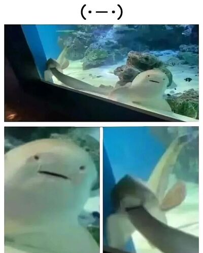 640-2024-09-18T172905.998